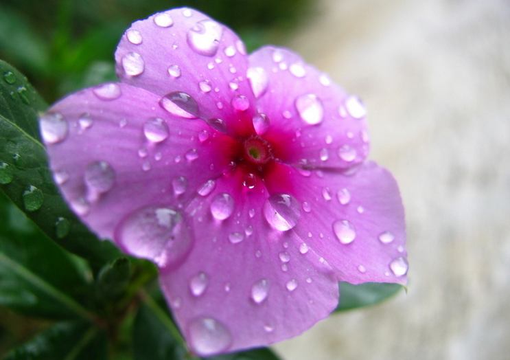 針對市場發展，研發核心產品