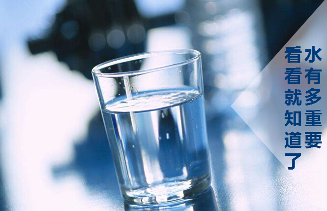 水有多重要，你該看看了