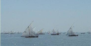 百舸爭流，不進則退，未雨綢繆才能贏發展